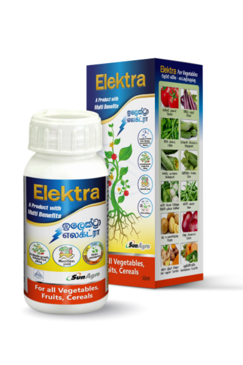 Elektra