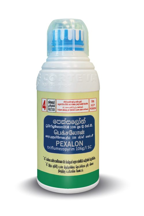 Pexalon (Triflumezopyrim 106 g/l SC)