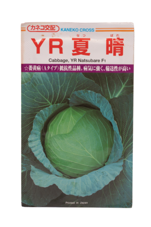 Cabbage Natsubare